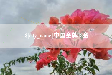 滦南中国金牌18金