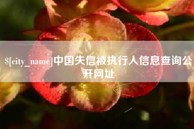 滦南中国失信被执行人信息查询公开网址