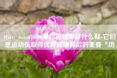 滦南5000米世界冠军穿什么鞋-它们是运动员取得优异成绩背后的重要“功臣”