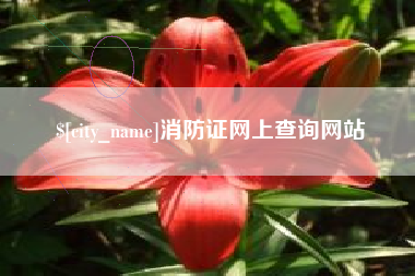 滦南消防证网上查询网站