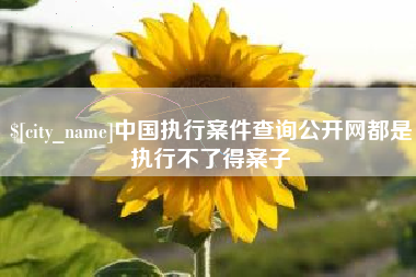 滦南中国执行案件查询公开网都是执行不了得案子