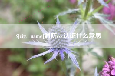 滦南消防ccc认证什么意思