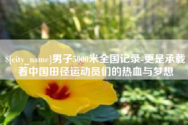 滦南男子5000米全国记录-更是承载着中国田径运动员们的热血与梦想