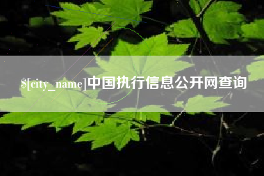 滦南中国执行信息公开网查询