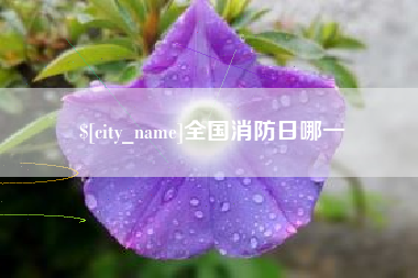 滦南全国消防日哪一