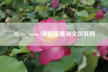 滦南消防证查询全国联网