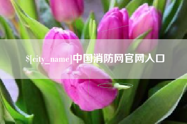 滦南中国消防网官网入口