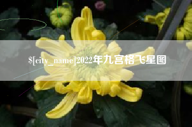 滦南2022年九宫格飞星图