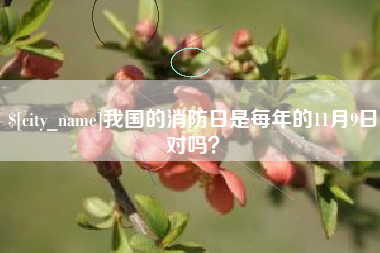 滦南我国的消防日是每年的11月9日对吗？
