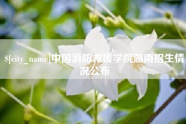 滦南中国消防救援学院湖南招生情况公布