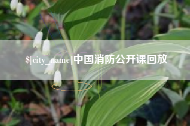 滦南中国消防公开课回放
