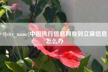 滦南中国执行信息网查到立案信息怎么办