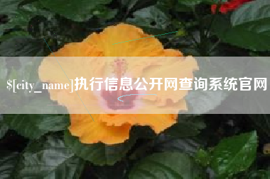 滦南执行信息公开网查询系统官网