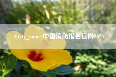 滦南中国消防报名官网2020