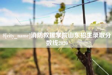 滦南消防救援学院山东招生录取分数线2020