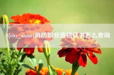 滦南消防职业资格证书怎么查询
