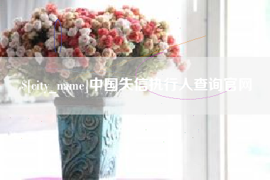 滦南中国失信执行人查询官网