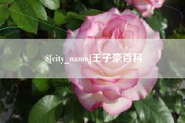 滦南王子豪百科