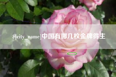 滦南中国有哪几枚金牌得主