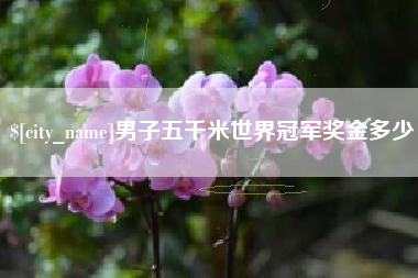 滦南男子五千米世界冠军奖金多少