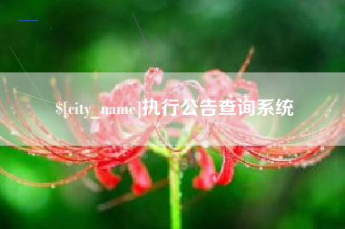 滦南执行公告查询系统
