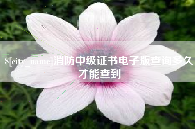 滦南消防中级证书电子版查询多久才能查到