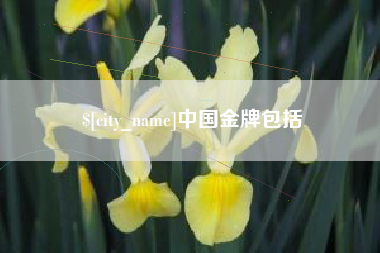 滦南中国金牌包括