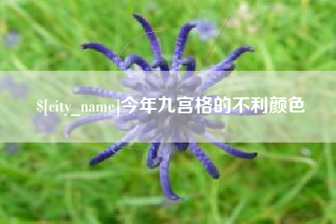 滦南今年九宫格的不利颜色