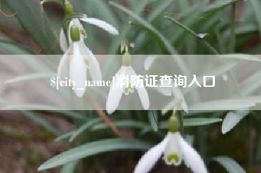 滦南消防证查询入口