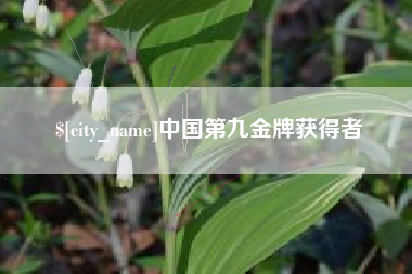 滦南中国第九金牌获得者