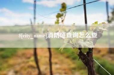 滦南消防证查询怎么查