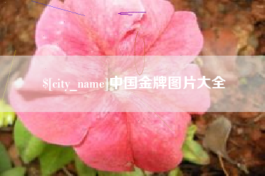 滦南中国金牌图片大全