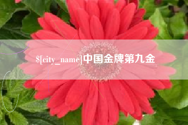 滦南中国金牌第九金