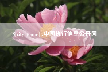 滦南1.中国执行信息公开网