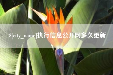 滦南执行信息公开网多久更新