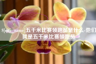滦南五千米比赛领跑员是什么-他们就是五千米比赛领跑员