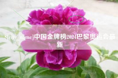 滦南中国金牌榜2024巴黎奥运会最新