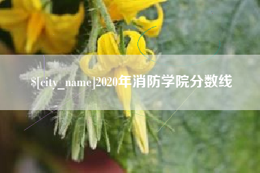 滦南2020年消防学院分数线