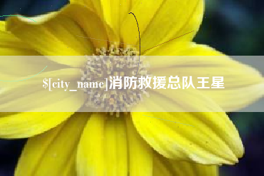 滦南消防救援总队王星