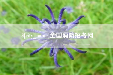 滦南全国消防招考网