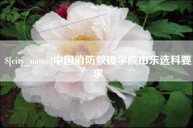 滦南中国消防救援学院山东选科要求