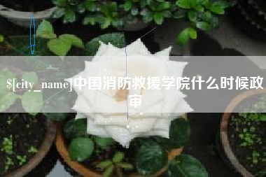滦南中国消防救援学院什么时候政审