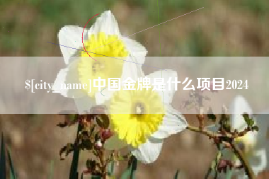滦南中国金牌是什么项目2024