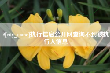 滦南执行信息公开网查询不到被执行人信息