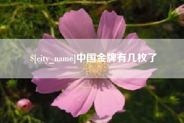 滦南中国金牌有几枚了