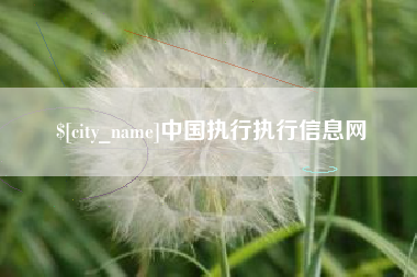 滦南中国执行执行信息网