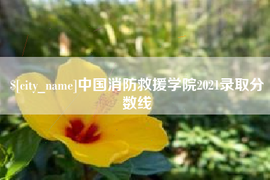 滦南中国消防救援学院2021录取分数线