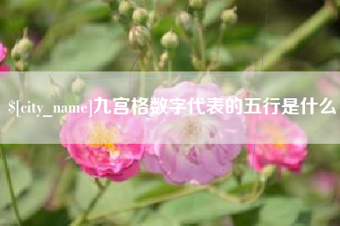 滦南九宫格数字代表的五行是什么