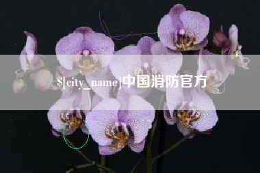滦南中国消防官方