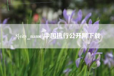 滦南中国执行公开网下载